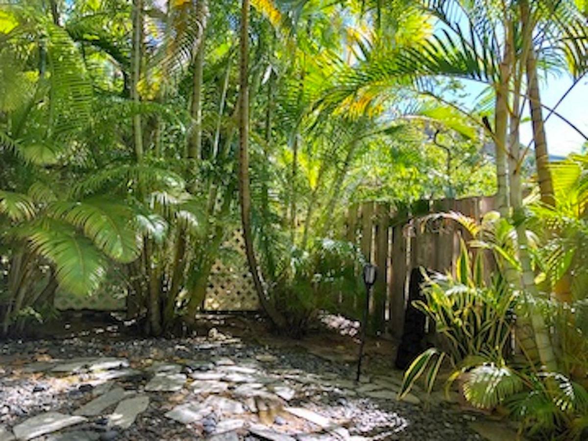 Lovely Relaxing Lanikai Studio, Legal Vacation Rental Kailua Eksteriør bilde