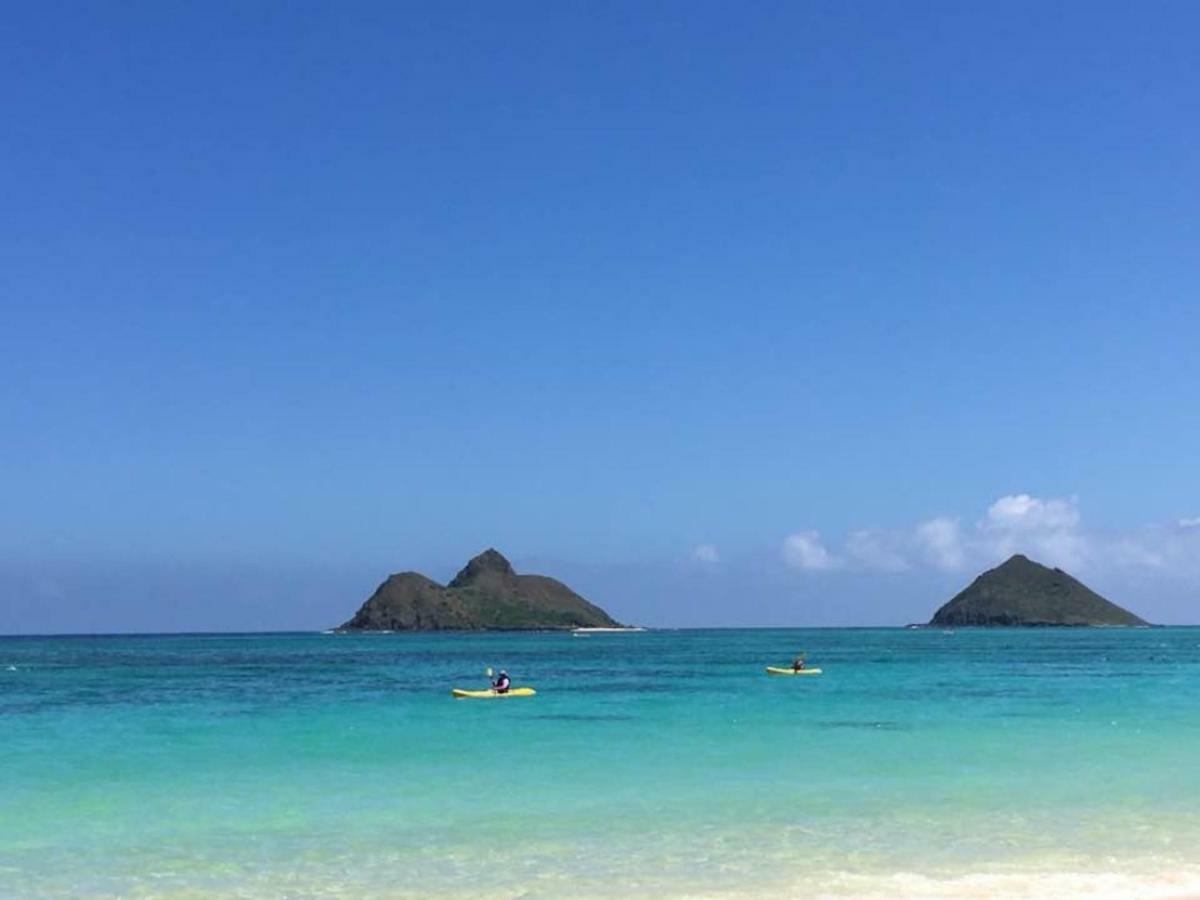 Lovely Relaxing Lanikai Studio, Legal Vacation Rental Kailua Eksteriør bilde